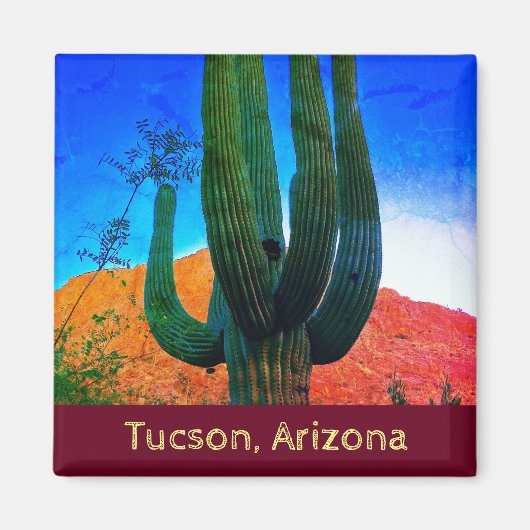 アリゾナ州ツーソン砂漠サボテン磁石 マグネット (正面)