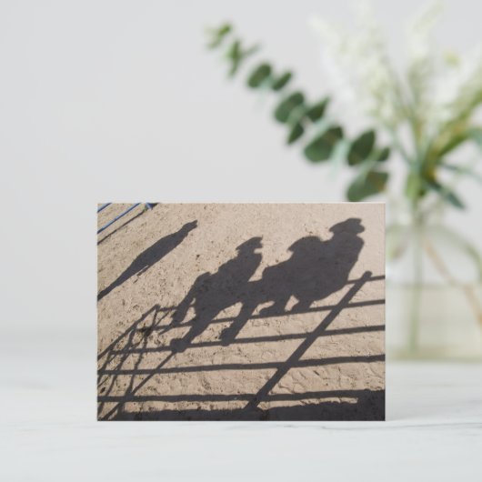 アリゾナ州ツーソン:ロデオの競合相手の影 ポストカード (スタンド正面)