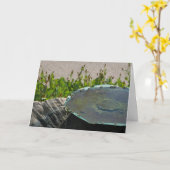 アリゾナ州フェニックス、飲み蜂 カード (黄色い花)