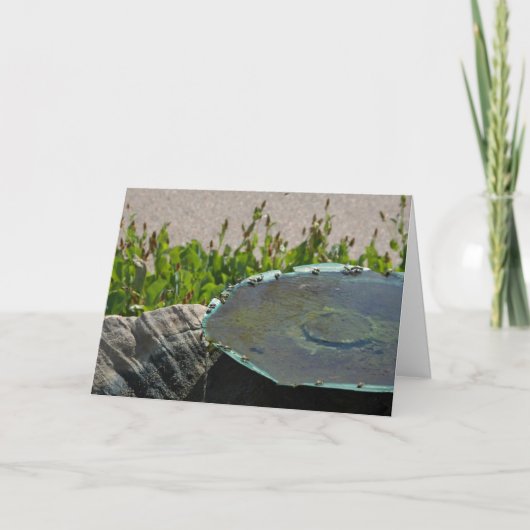 アリゾナ州フェニックス、飲み蜂 カード (正面)