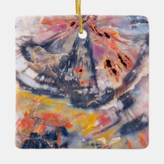 アリゾナ州ペトリファイド·ウッド·詳細 セラミックオーナメント (正面)