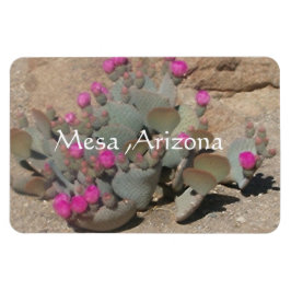 アリゾナ州メサに咲くピンクのサボテンの花 マグネット