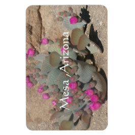 アリゾナ州メサに咲くピンクのサボテンの花  マグネット