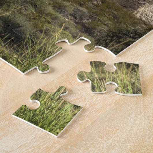 アリゾナ州モンテズマ城国立記念物 ジグソーパズル (側面)