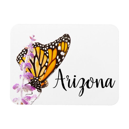 アリゾナ州ラベンダーに覆われた（昆虫）オオカバマダラ、モナーク マグネット (横)