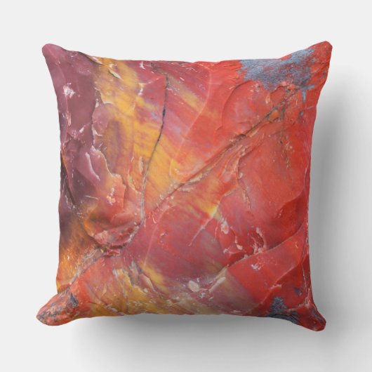 アリゾナ州レッドペトリファイドウッド詳細 クッション (正面)