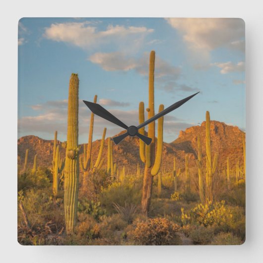 アリゾナ州日没時サグアロ·サボテン スクエア壁時計 (正面)