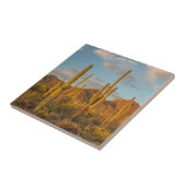 アリゾナ州日没時サグアロ·サボテン タイル (側面)