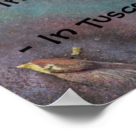 アリゾナ州法 ポスター (角)