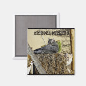 アリゾナ州法 マグネット (正面/裏面)