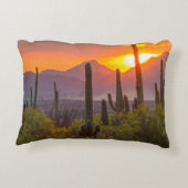 アリゾナ州砂漠のサボテンの夕焼け アクセントクッション (裏面)