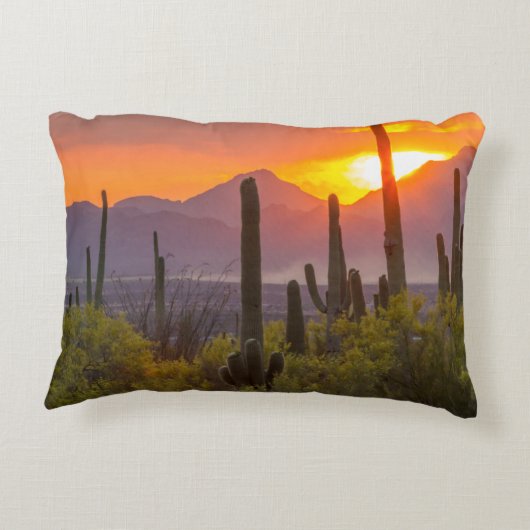 アリゾナ州砂漠のサボテンの夕焼け アクセントクッション (裏面)
