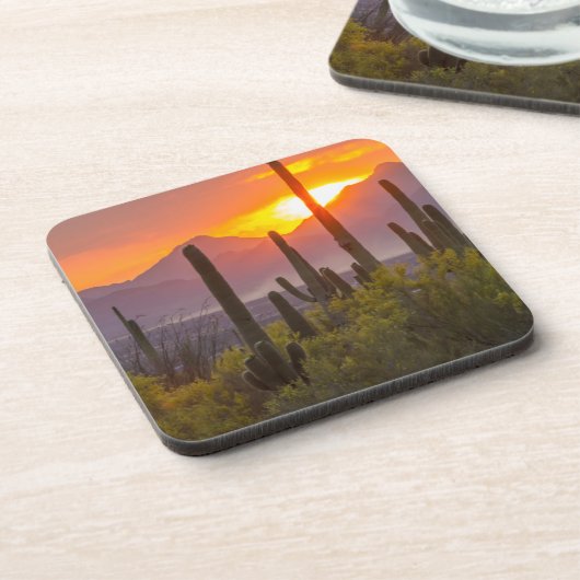 アリゾナ州砂漠のサボテンの夕焼け コースター (左側)