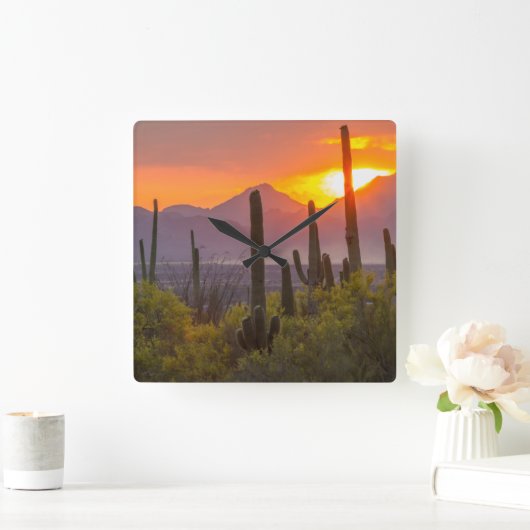 アリゾナ州砂漠のサボテンの夕焼け スクエア壁時計 (ホーム)