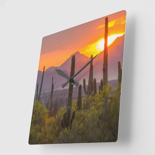 アリゾナ州砂漠のサボテンの夕焼け スクエア壁時計 (傾斜)