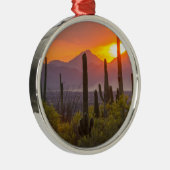 アリゾナ州砂漠のサボテンの夕焼け メタルオーナメント (右)