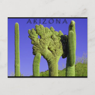 アリゾナ州議会のCrested Saguaro ポストカード