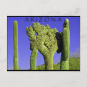 アリゾナ州議会のCrested Saguaro ポストカード (正面)