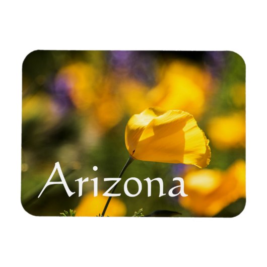 アリゾナ州踊りケシ畑 マグネット (横)