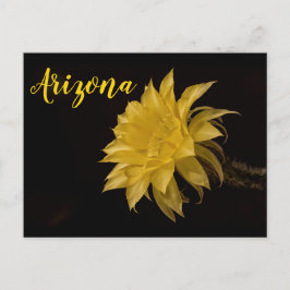 アリゾナ州開花のサボテンの花 ポストカード