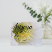 アリゾナ州開花の白いサボテンの中 ポストカード (スタンド正面)