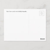 アリゾナ州開花の白いサボテンの中 ポストカード (裏面)