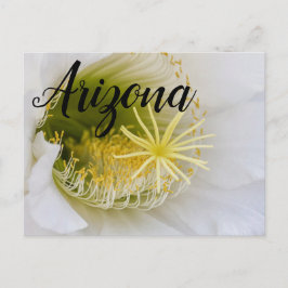アリゾナ州開花の白いサボテンの中 ポストカード