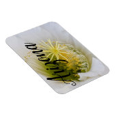 アリゾナ州開花の白サボテンの中 マグネット (右側)