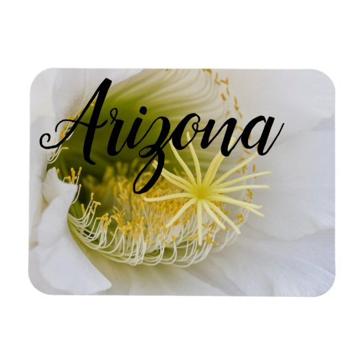 アリゾナ州開花の白サボテンの中 マグネット (横)