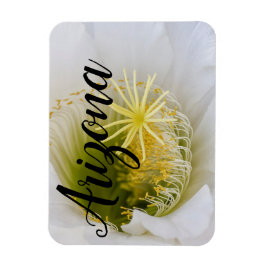 アリゾナ州開花の白サボテンの中 マグネット