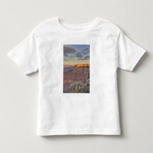 アリゾナ州, グランドキャニオン国立公園, 南 トドラーTシャツ