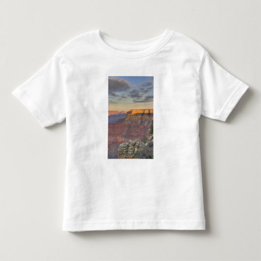 アリゾナ州, グランドキャニオン国立公園, 南 トドラーTシャツ (正面)