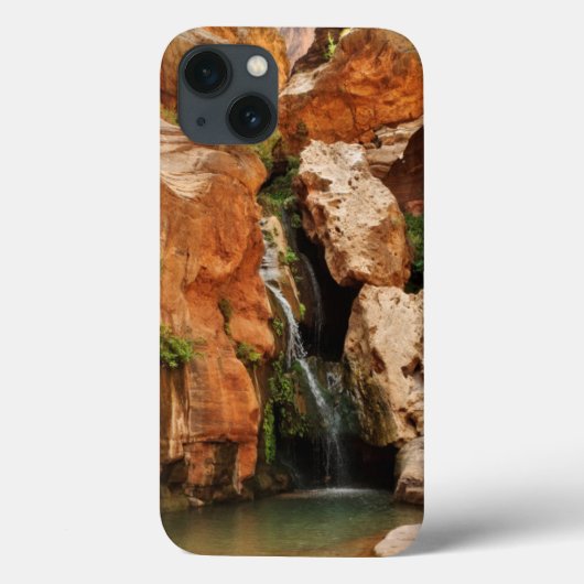 アリゾナ州 グランドキャニオン国立公園 Case-Mate iPhoneケース (裏面)