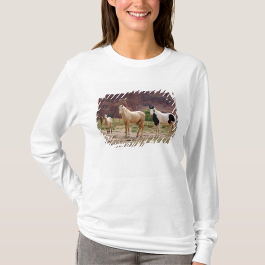 アリゾナ州 ナバホ・インディアン保留地 チンリー Tシャツ (正面)