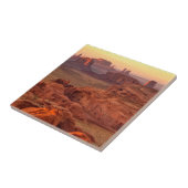 アリゾナ州、モニュメント·バレー·シーニック タイル (側面)