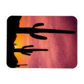 アリゾナ州，日の出でサグアーロ マグネット (横)