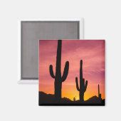 アリゾナ州，日の出でサグアーロ マグネット (正面/裏面)