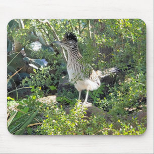 アリゾナ砂漠のアメリカのロードランナー マウスパッド