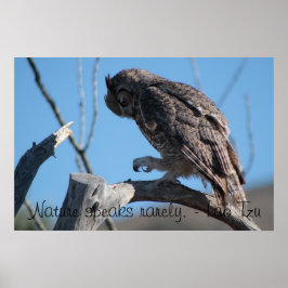 アリゾナ砂漠のフクロウ ポスター