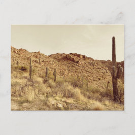アリゾナ砂漠はがき ポストカード