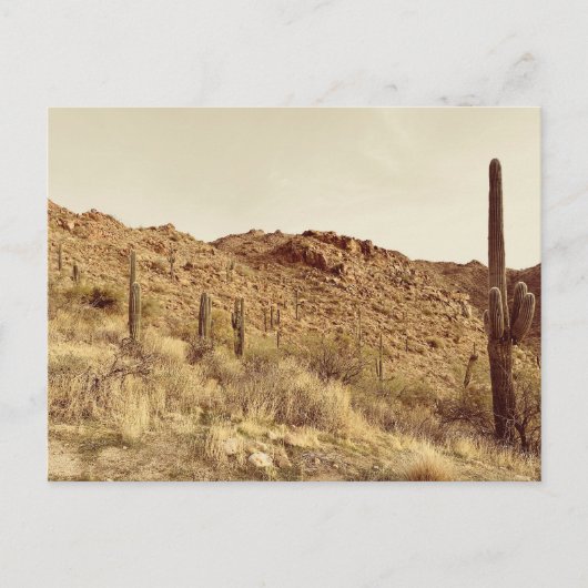 アリゾナ砂漠はがき ポストカード (正面)