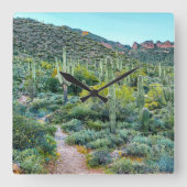 アリゾナ砂漠ハイキングトレイルサグアロサボテンの森 スクエア壁時計 (正面)