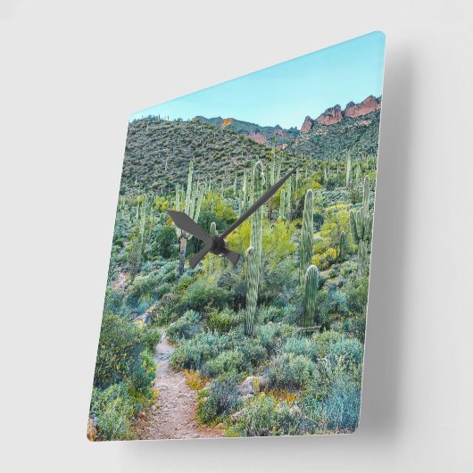 アリゾナ砂漠ハイキングトレイルサグアロサボテンの森 スクエア壁時計 (傾斜)