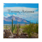 アリゾナ砂漠南西部 タイル (正面)