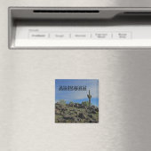 アリゾナ砂漠風景写真サグアロサクタス マグネット (インサイチュ (食洗機))