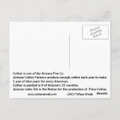 アリゾナ綿ファクトのはがき ポストカード (裏面)