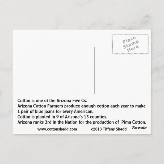 アリゾナ綿ファクトのはがき ポストカード (裏面)