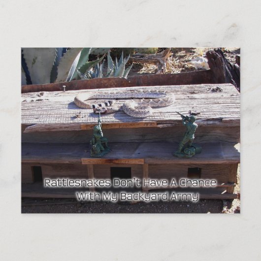アリゾナ西ダイヤモンドバックガラガラヘビ ポストカード (正面)