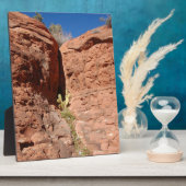 アリゾナ赤い岩の風景の写真 フォトプラーク (側面)