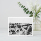 アリゾナ運河を掻き取ること ポストカード (スタンド正面)